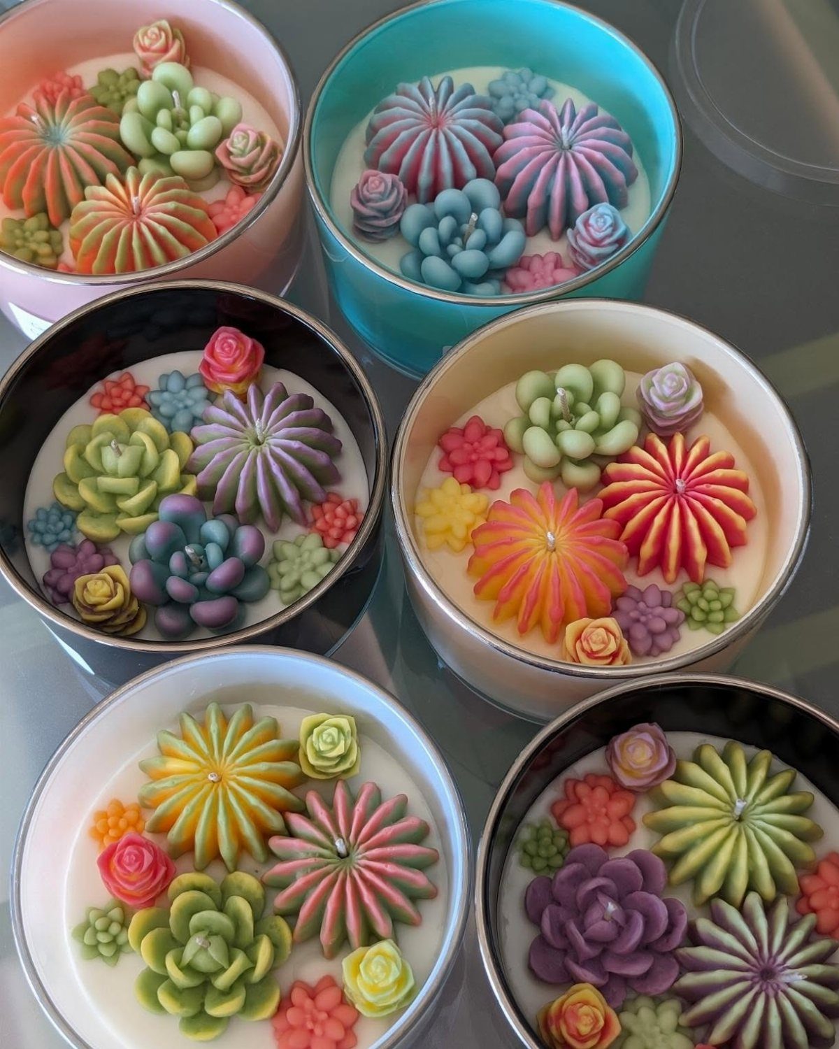 Six colorful wax succulent candles in small round tins on a reflective surface.