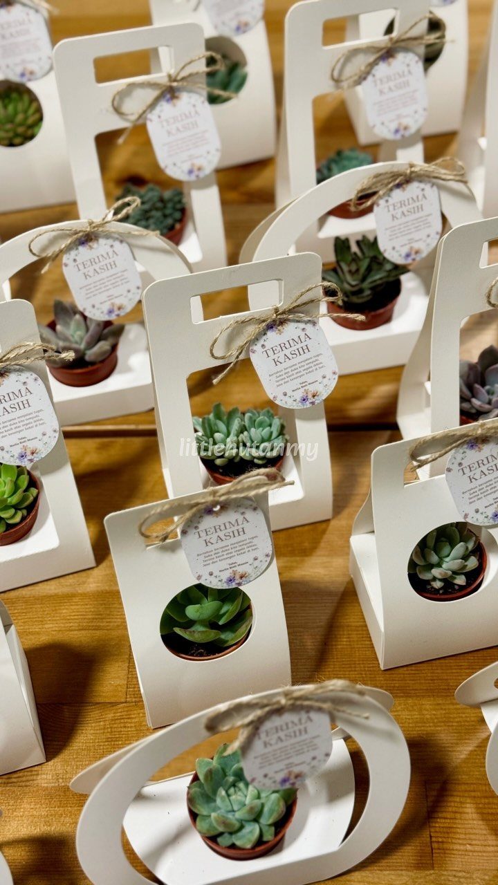Small succulent plants in white gift holders with tags on a wooden table