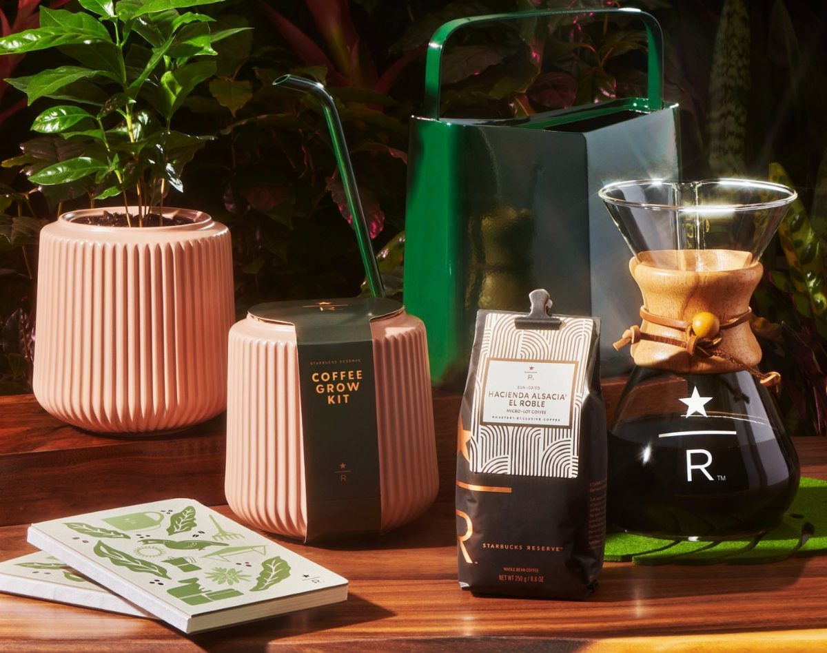 15 Coffee Drinker Gifts: Candles, Mugs, Roasters and More 10 Coffee grow kit and plant with coffee beans and a pour-over brewer.