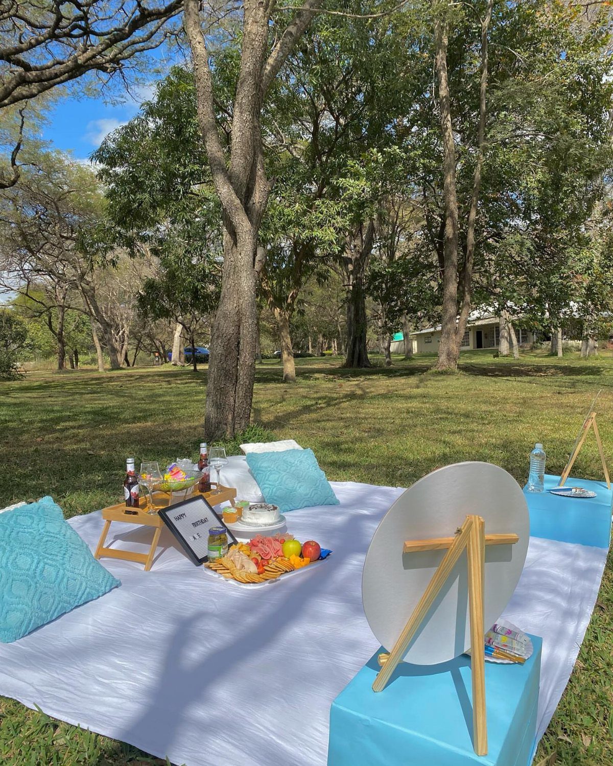 Picnic setup with fruit, drinks, and an art easel on a white blanket.