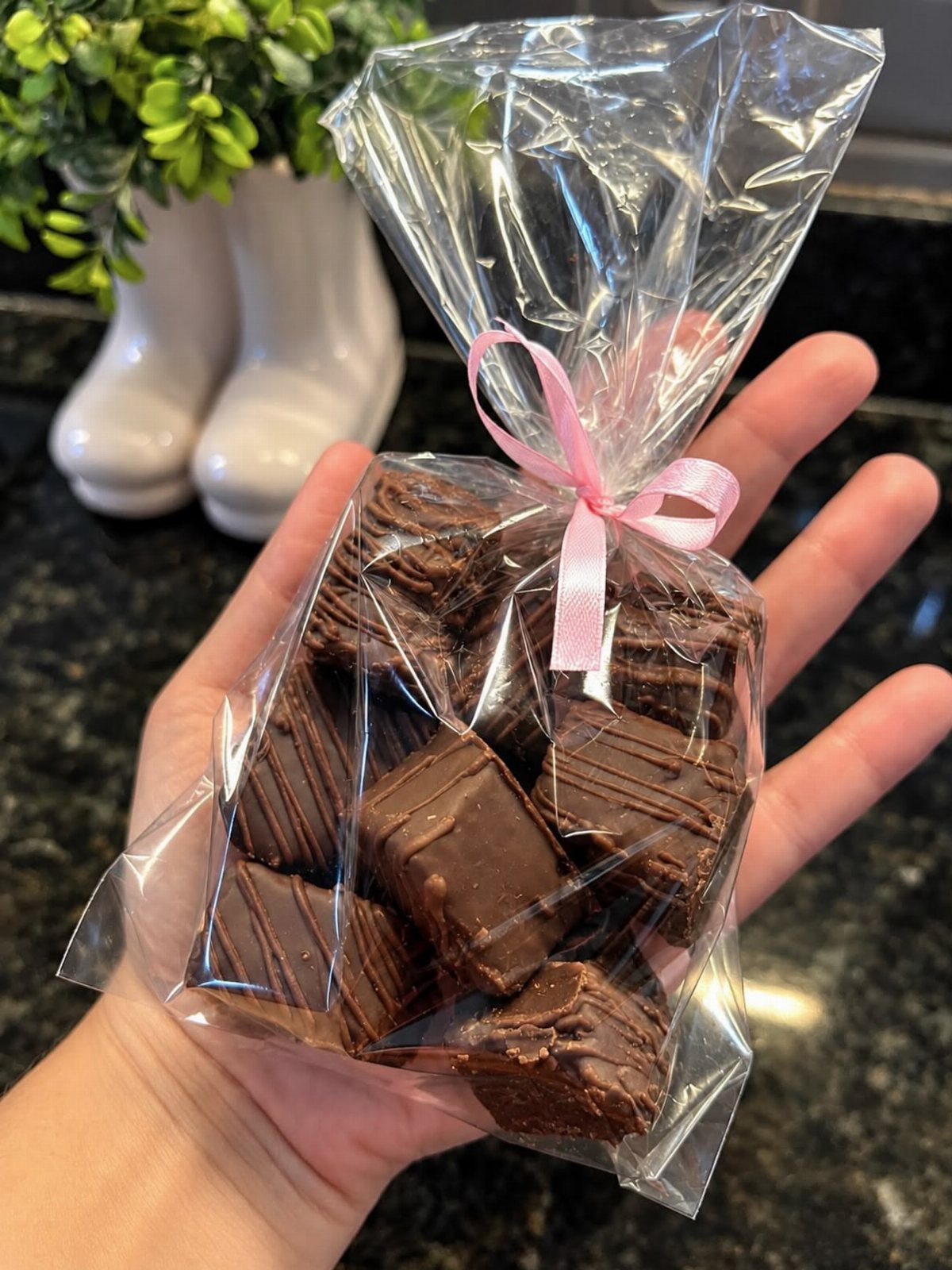 Chocolate fudge squares in a clear gift bag tied with a pink ribbon.