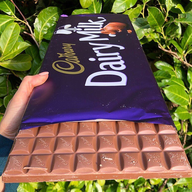 Giant Cadbury Dairy Milk chocolate bar held against a background of green foliage.