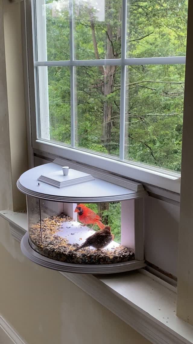 6 Gifts for Grandpa Who Has Everything: Personal Picks 4 Window bird feeder with a red cardinal and brown bird eating seeds.