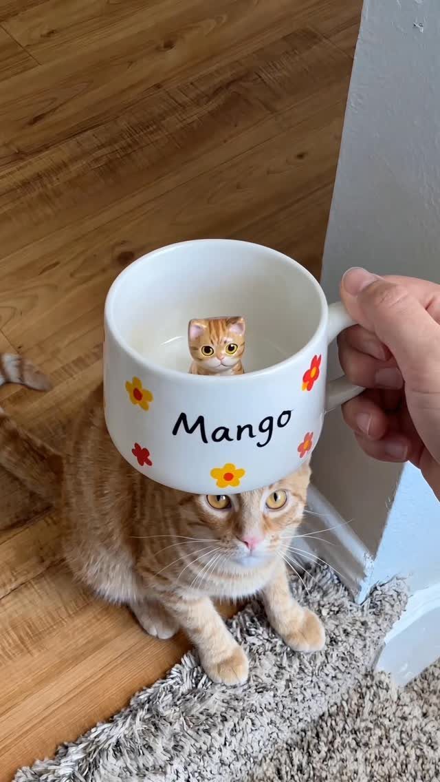 13 Homemade Gift Ideas for Coworkers They'll Use 1 Hand-painted white mug with name Mango and flowers held over an orange cat