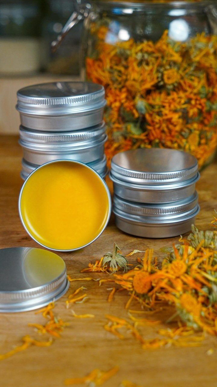 Yellow lip balm in silver metal tins surrounded by dried orange calendula flowers.