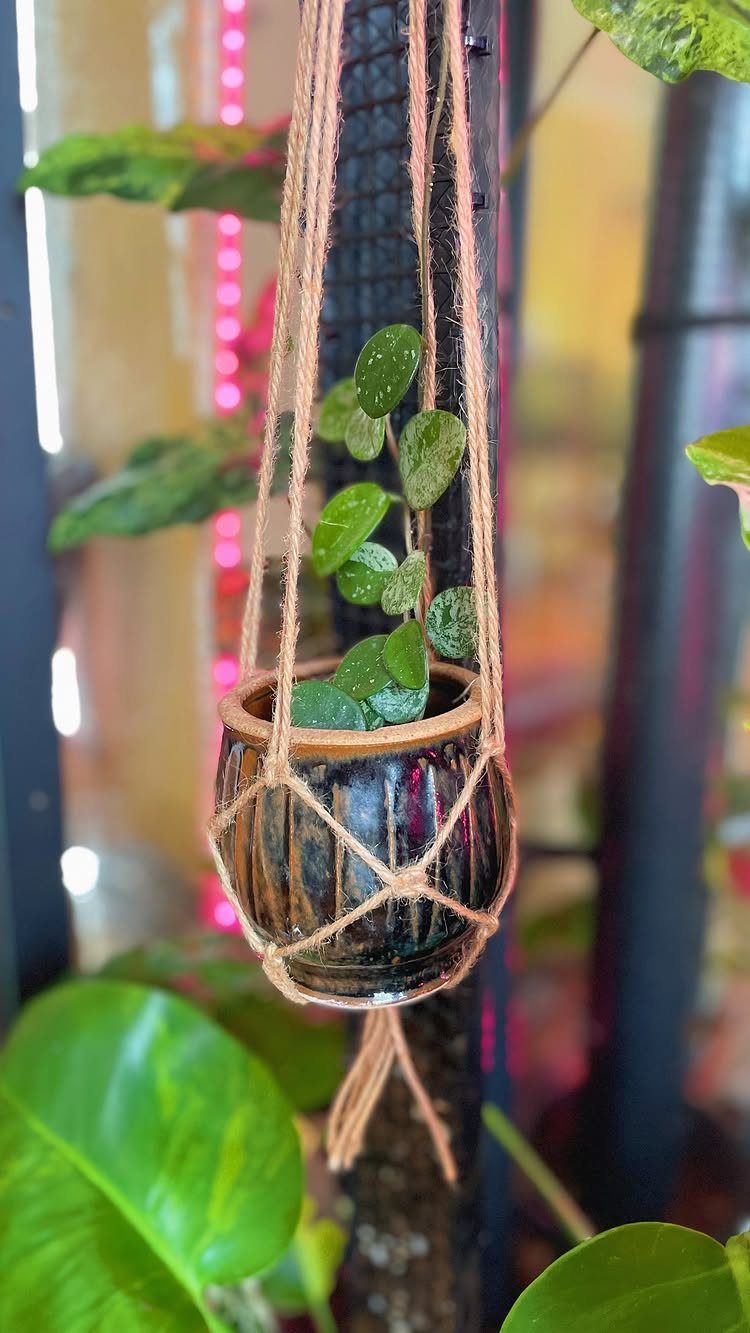 18 Mothers Day Gifts to Make: Easy Handmade Ideas for Mom 15 Small green plant in a brown pot held by a tan twine macrame hanger.
