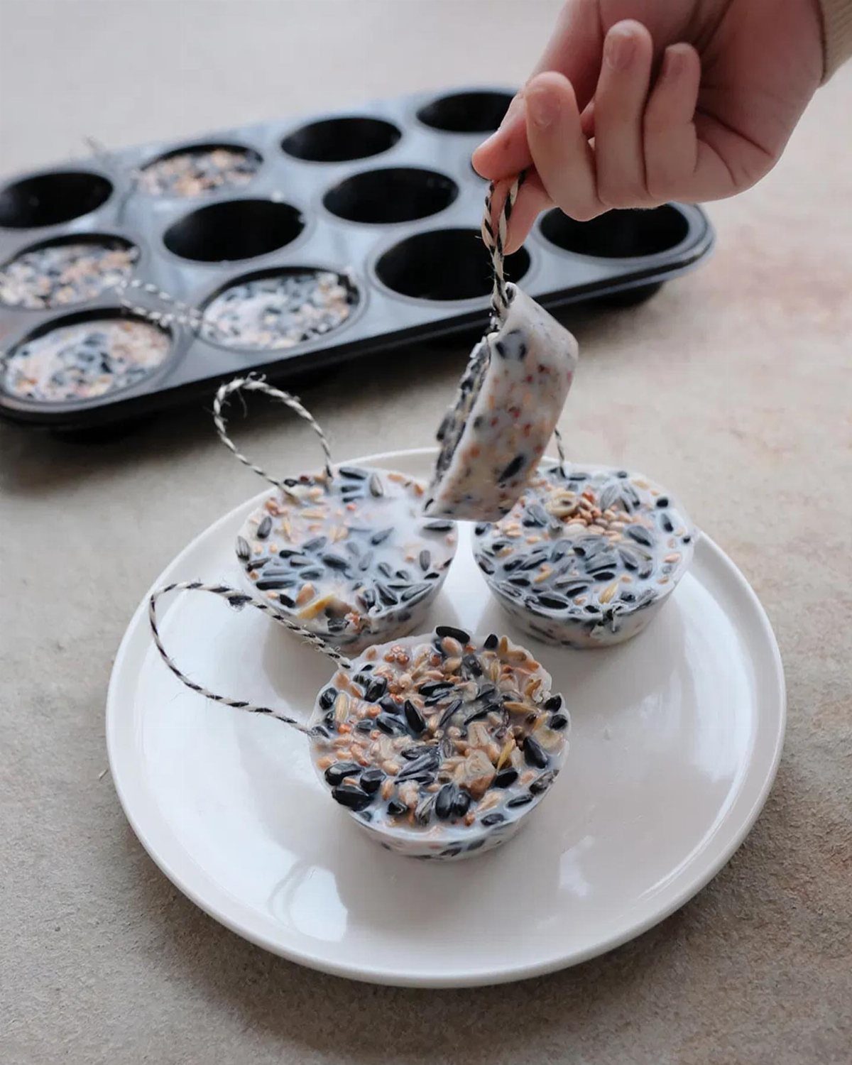 Birdseed suet cakes with string loops on a white plate and in a tin.