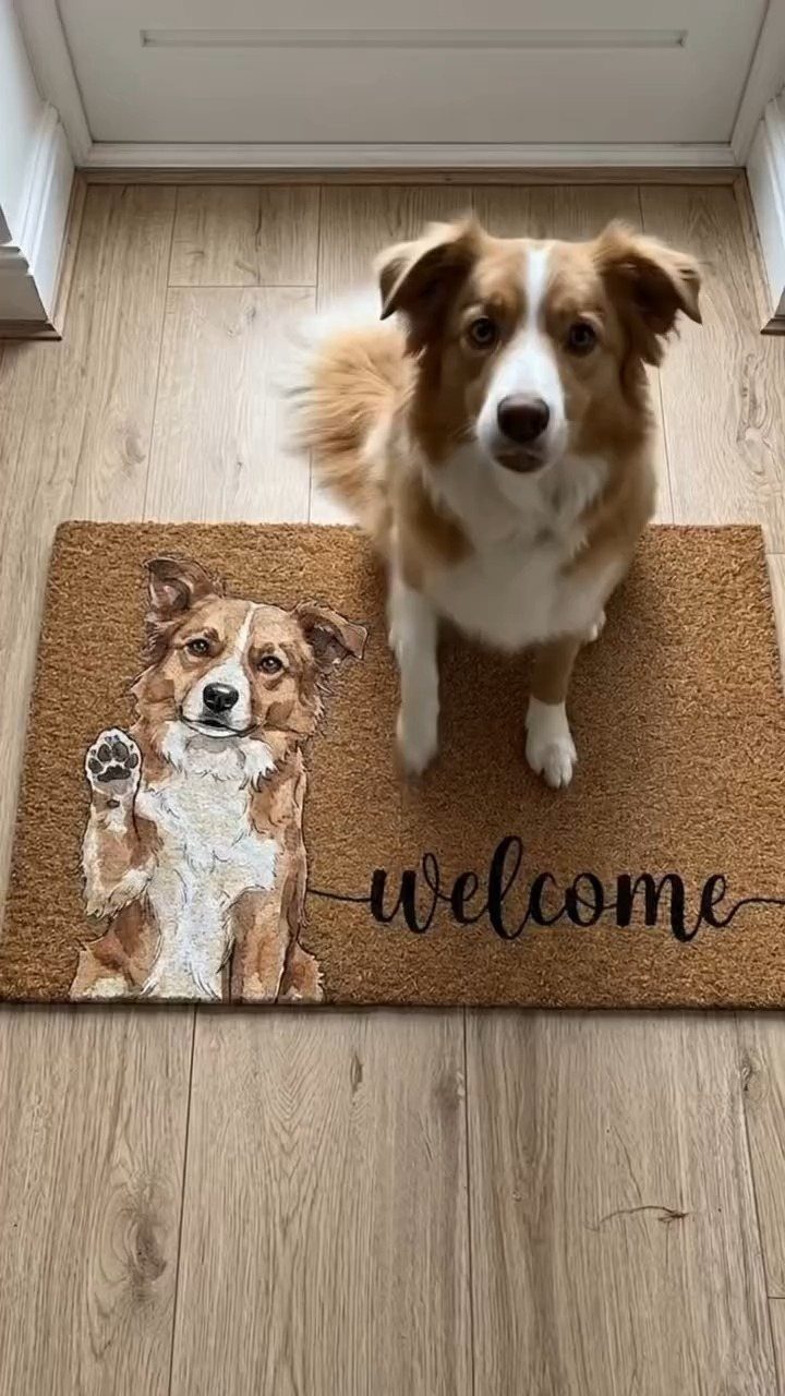 Custom doormat featuring a dog illustration next to a real brown and white dog.