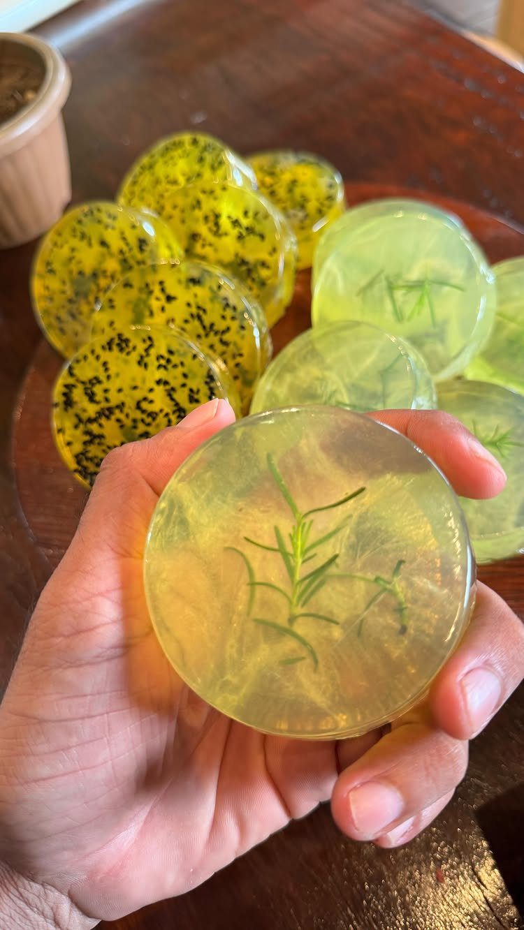 12 Useful Homemade Christmas Gifts People Will Use 3 Round translucent yellow-green handmade soaps with embedded botanicals held in a hand.